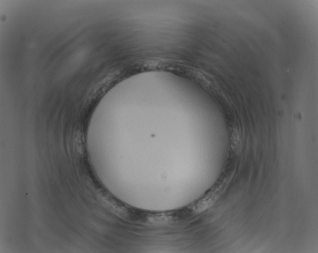 X0000073410470200608251529