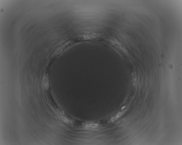 X0000073410471200608251529