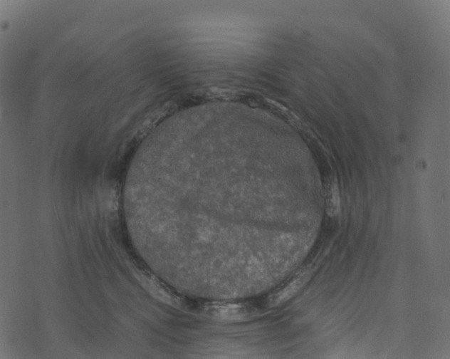 X0000073410472200608251529