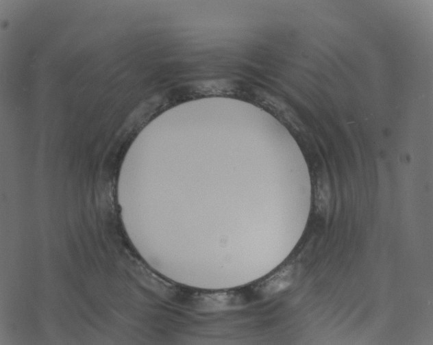 X0000073410473200608251529