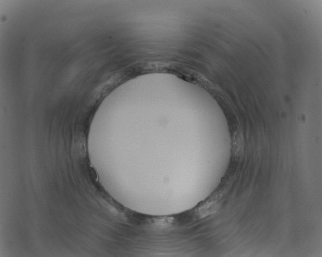 X0000073410474200608251529