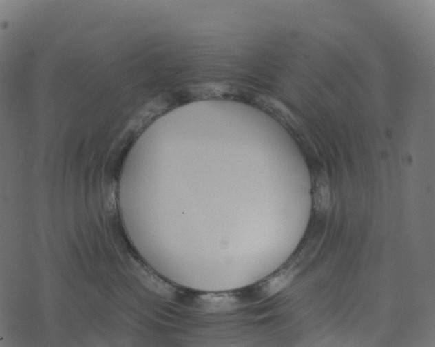 X0000073410477200608251529