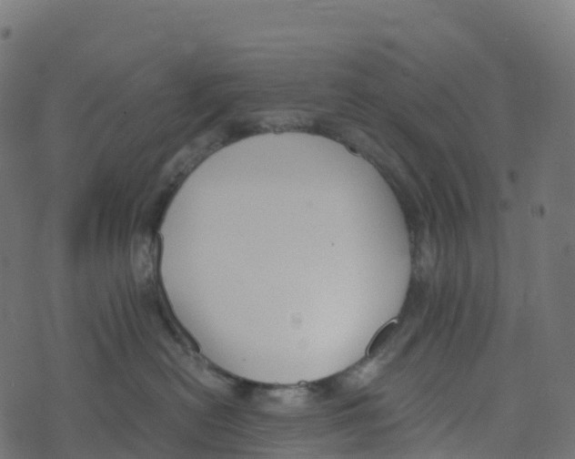 X0000073410478200608251529