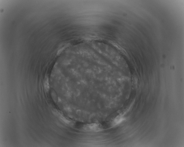 X0000073410479200608251529