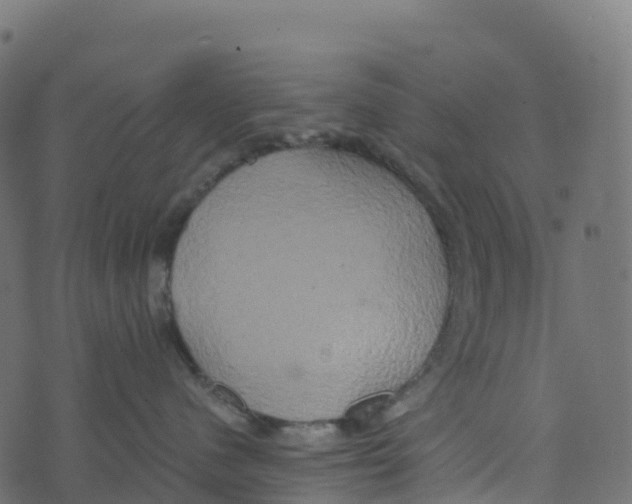 X0000073410480200608251529