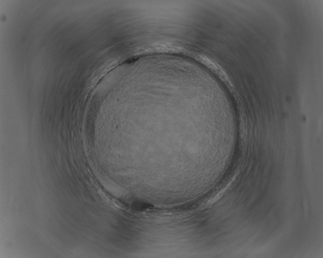 X0000073410481200608251529