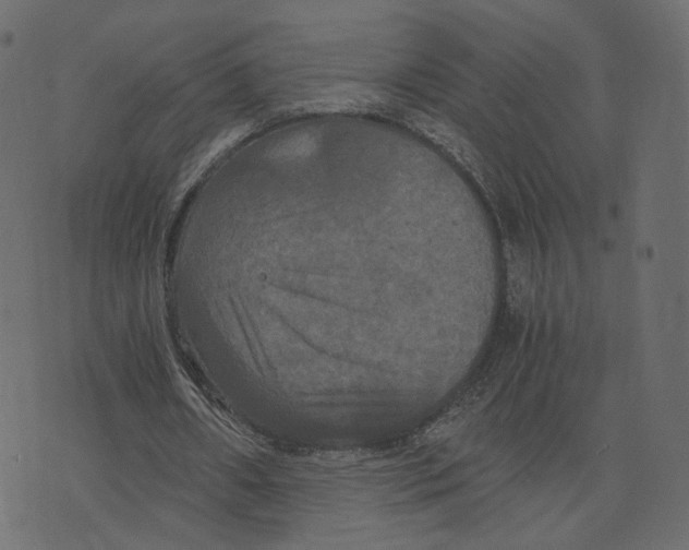 X0000073410482200608251529