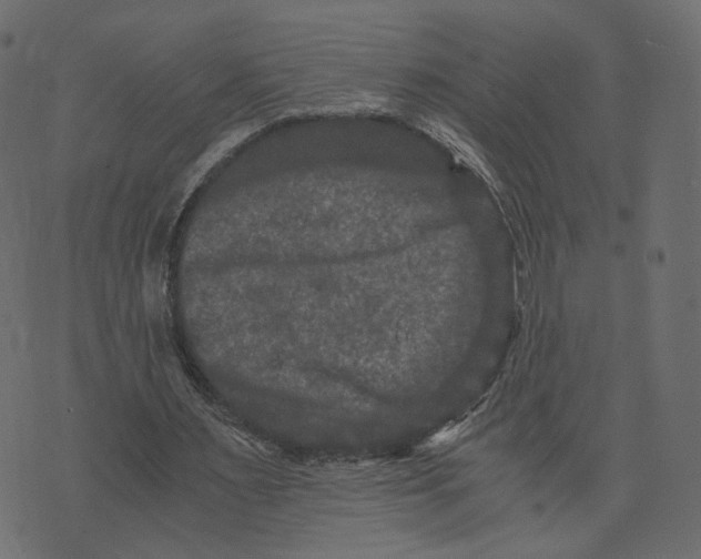 X0000073410483200608251529