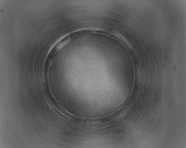 X0000073410484200608251529