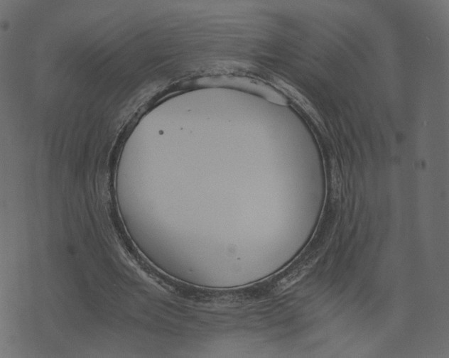 X0000073410485200608251529