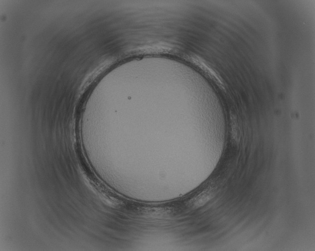 X0000073410486200608251528