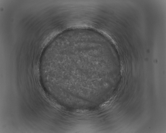 X0000073410487200608251528