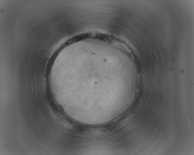 X0000073410488200608251528