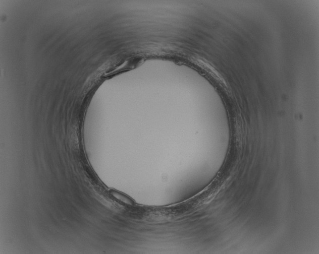 X0000073410489200608251528