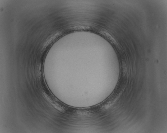 X0000073410490200608251528