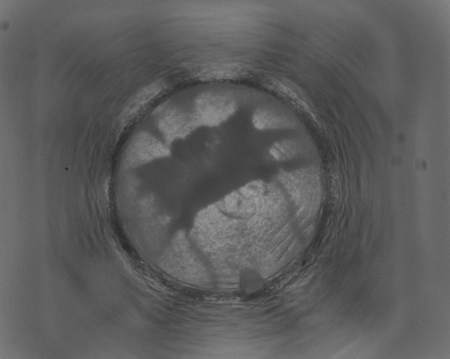 X0000073410491200608251528