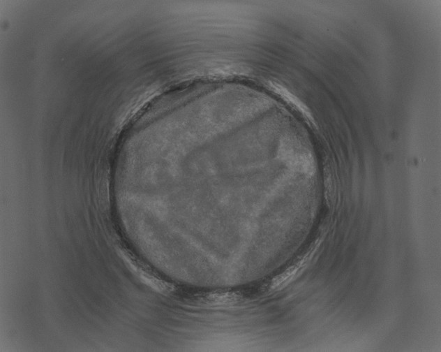 X0000073410493200608251528