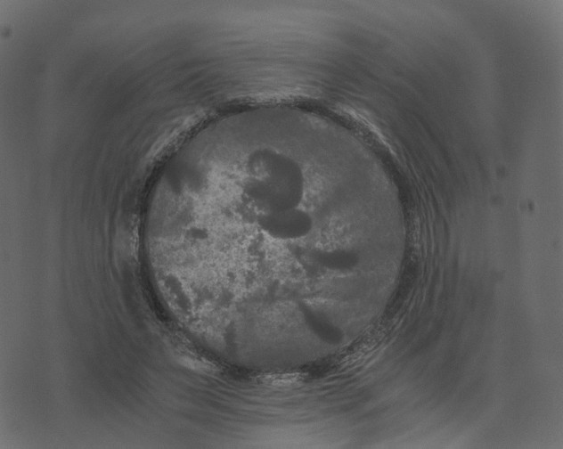 X0000073410495200608251528