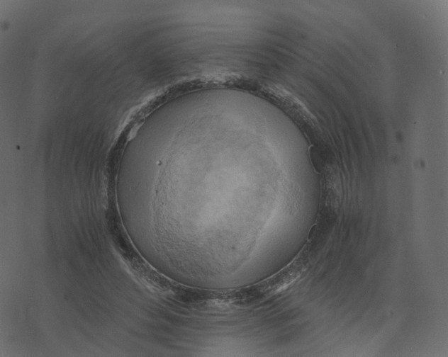 X0000073410496200608251528