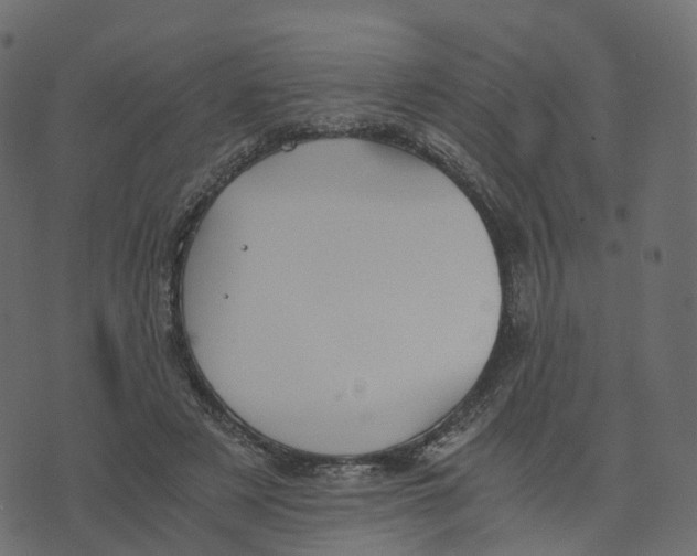 X0000073410497200608251528