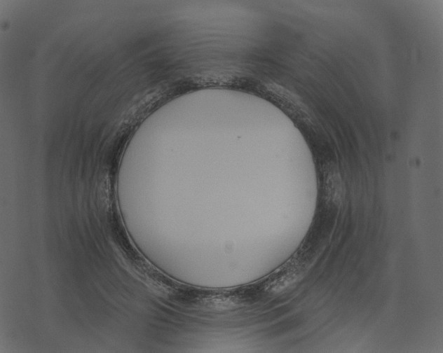 X0000073410498200608251528