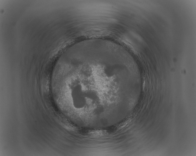 X0000073410499200608251528