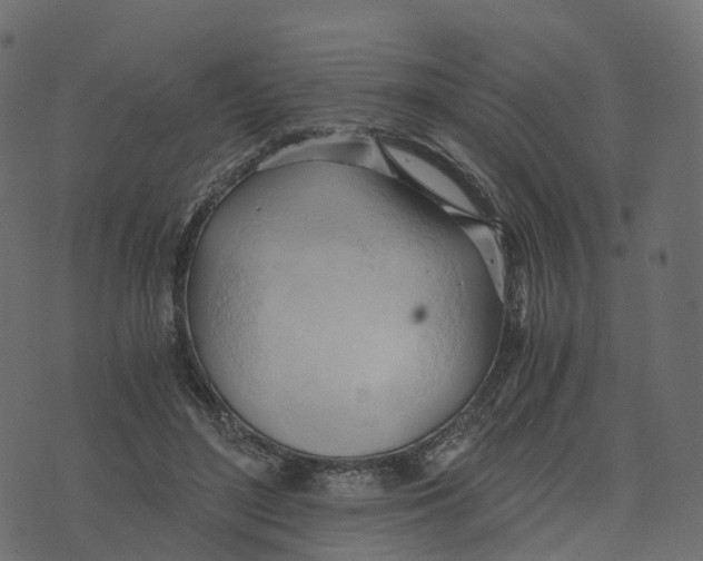 X0000073410500200608251528