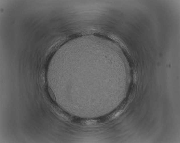 X0000073410501200608251528