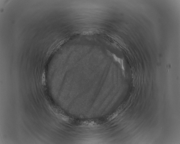 X0000073410502200608251528