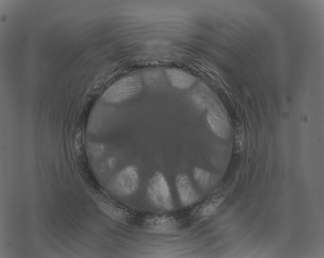 X0000073410503200608251528