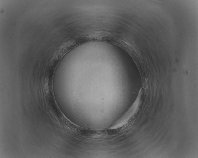 X0000073410504200608251528