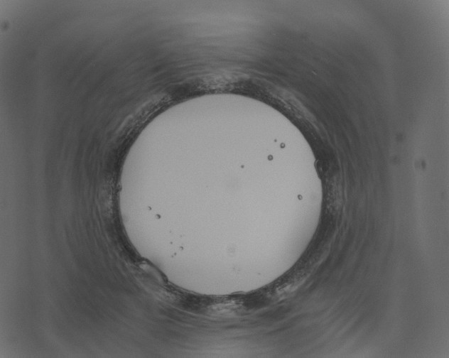 X0000073410505200608251528