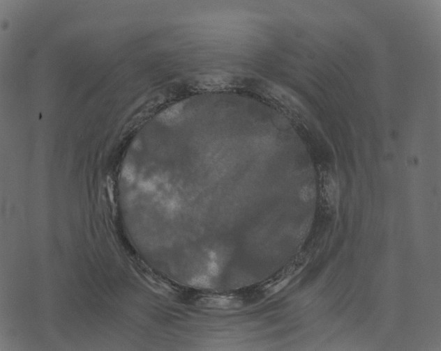 X0000073410507200608251528