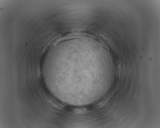 X0000073410508200608251528