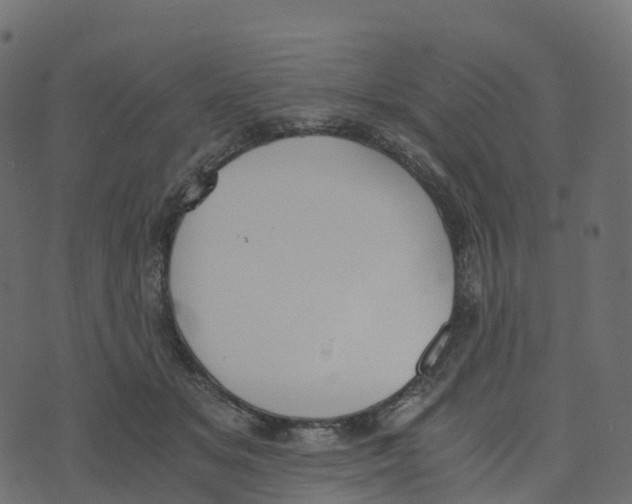 X0000073410509200608251528