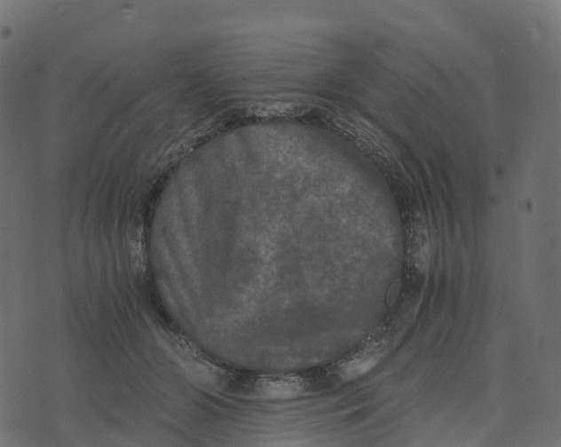 X0000073410510200608251528