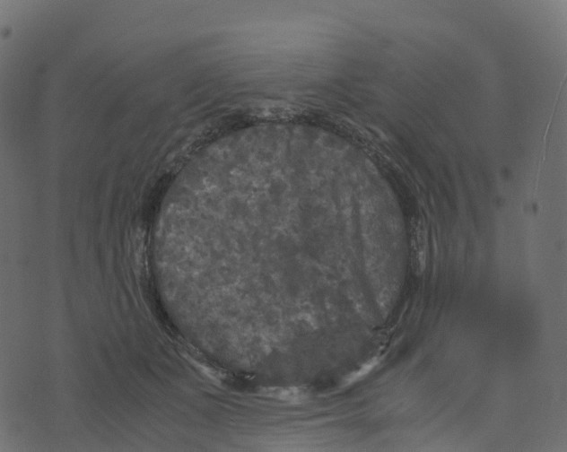 X0000073410511200608251528