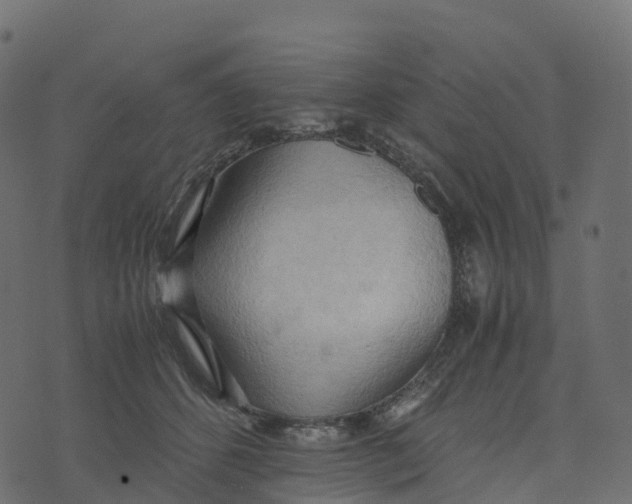 X0000073410512200608251528