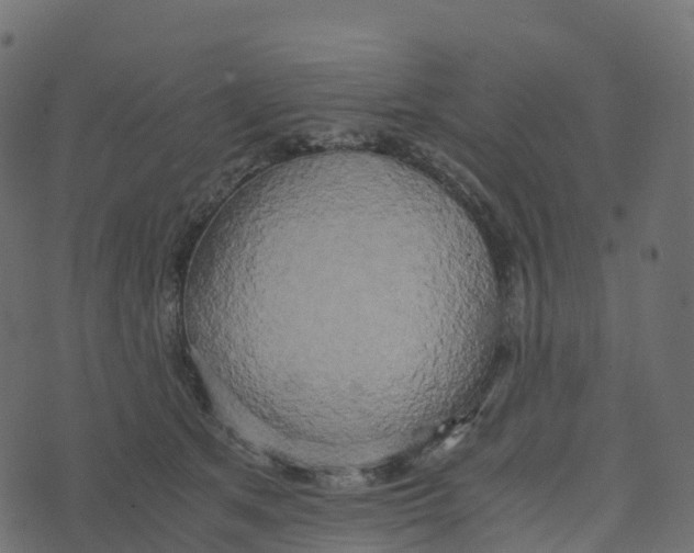 X0000073410513200608251528