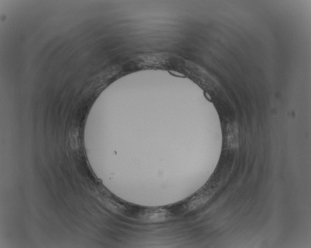 X0000073410514200608251528