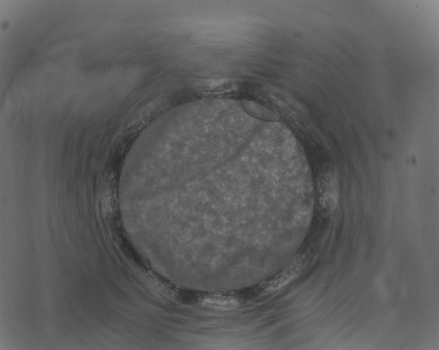 X0000073410515200608251528