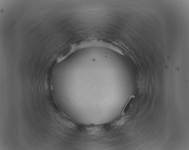 X0000073410516200608251528