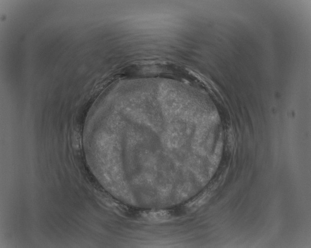 X0000073410517200608251528