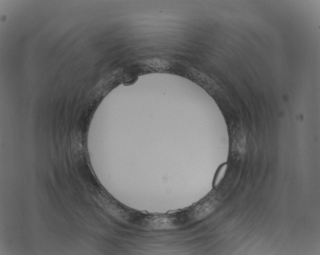 X0000073410518200608251528