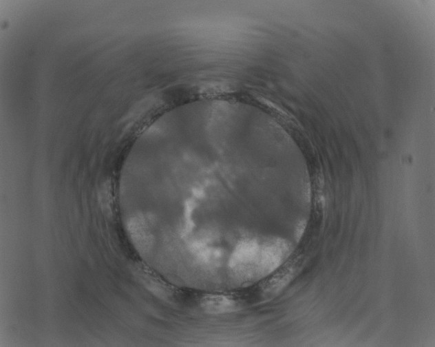 X0000073410519200608251528