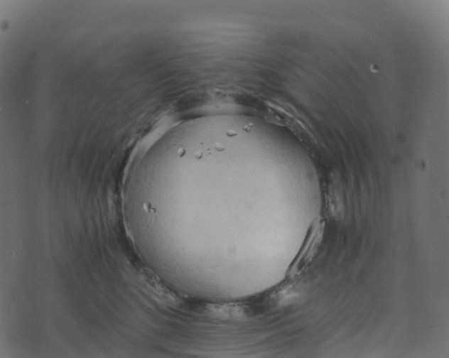 X0000073410520200608251528