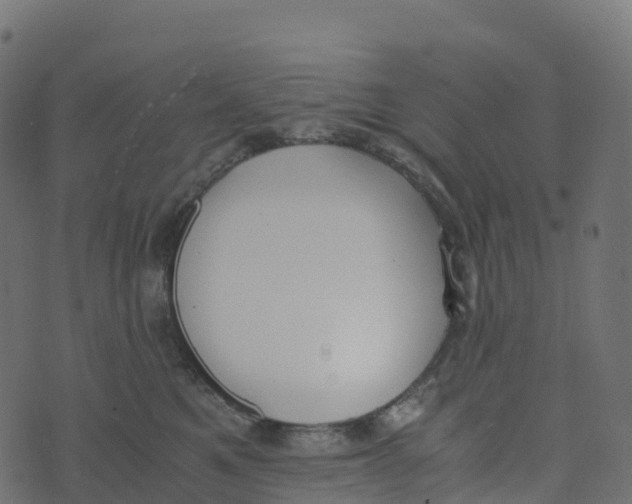 X0000073410521200608251528