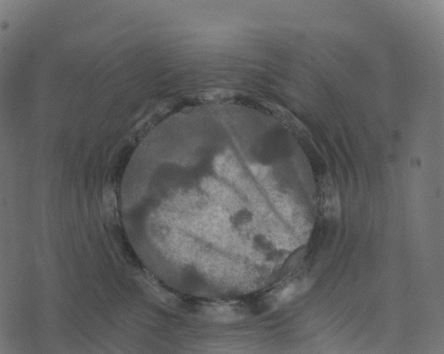 X0000073410523200608251528