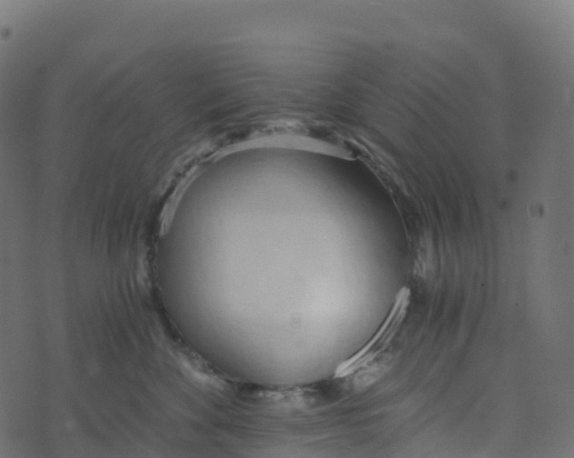 X0000073410524200608251528