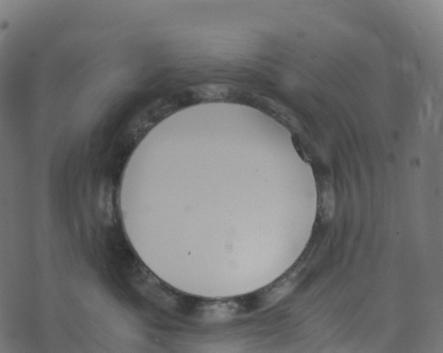 X0000073410525200608251528